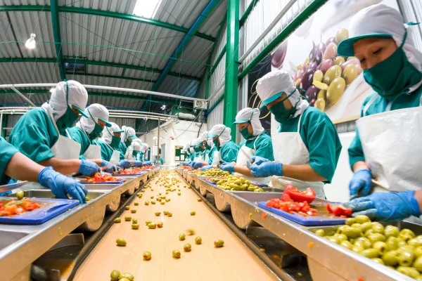 Food Processing Food Processing